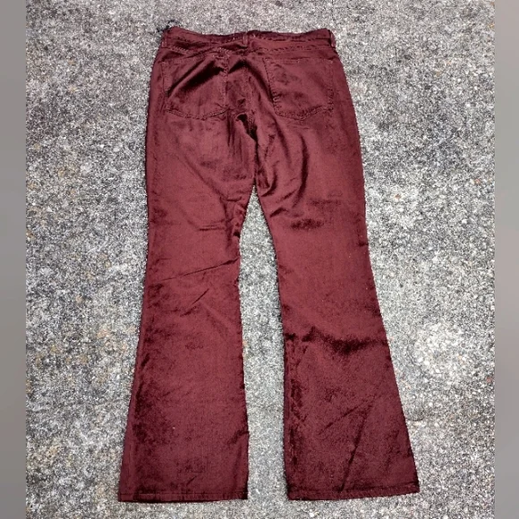 AGOLDE Women’s Brown Chocolate Velvet High Rise Bootcut Stretch Pants 30 NWT